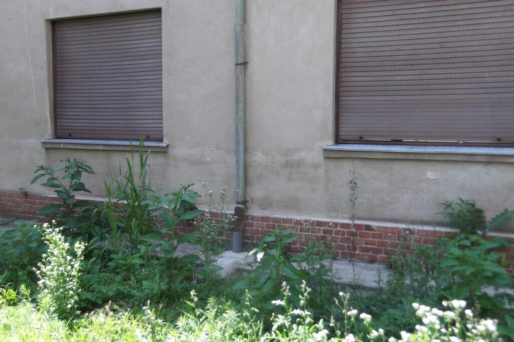 018 - Épületdiagnosztika - Vásárlás előtti állapotfelmérés - Mária utca - ÉHK Holding Kft